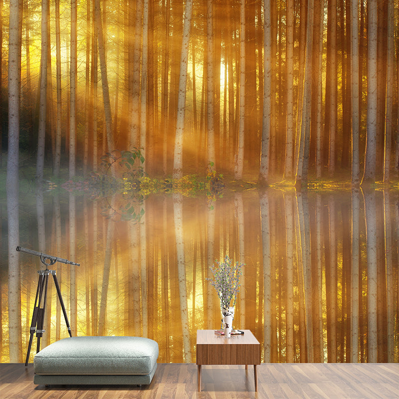 Beautiful Photography Mural Wallpaper Grove Decorative Indoor Wall Mural