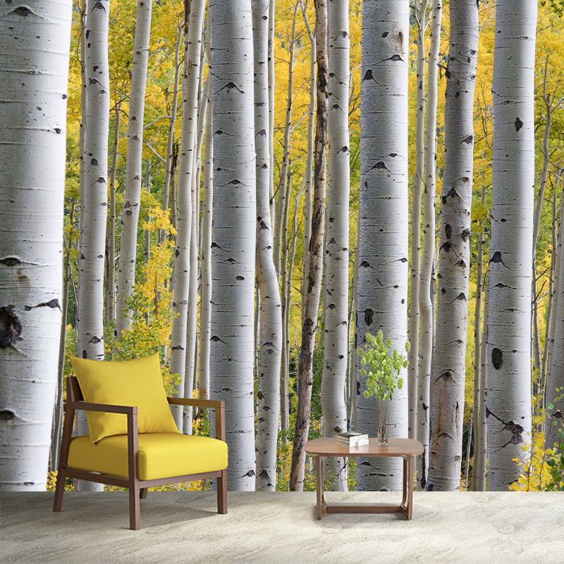 Beautiful Photography Mural Wallpaper Grove Decorative Indoor Wall Mural