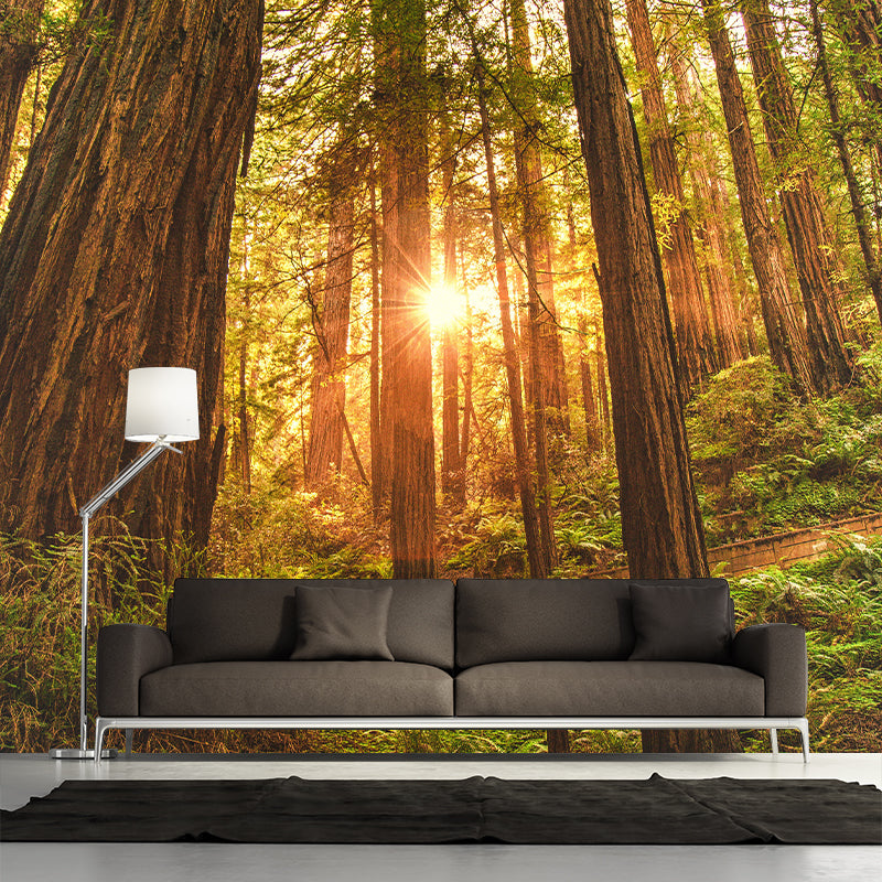 Photography Stain Resistant Mural Wallpaper Forest Living Room Wall Mural