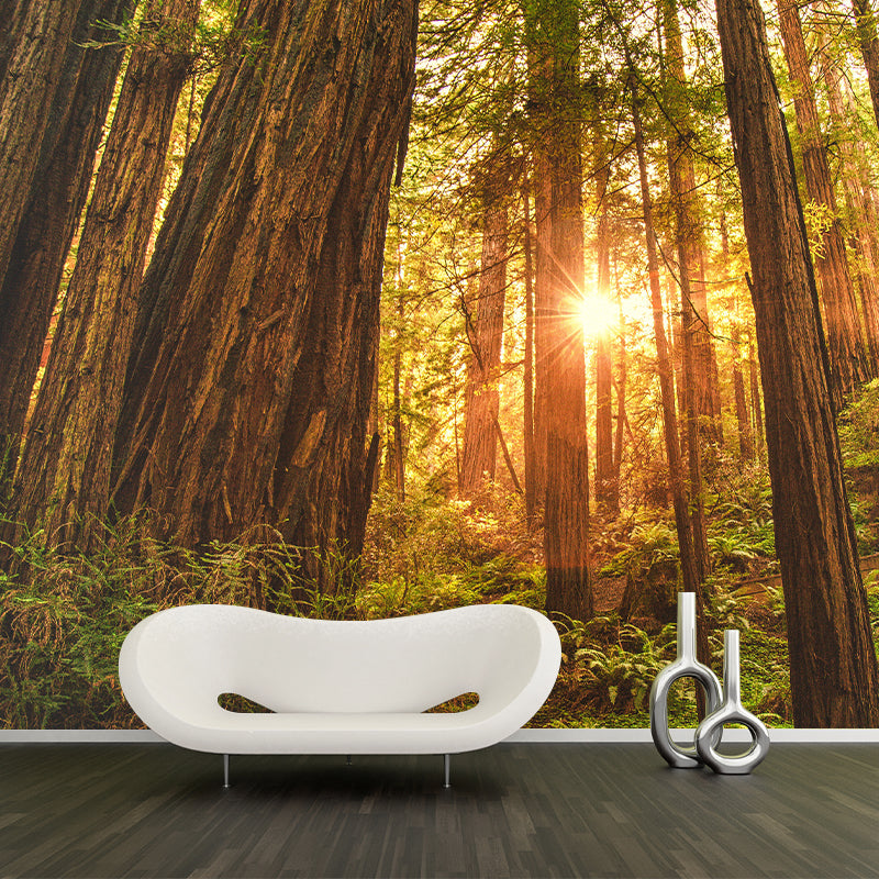 Photography Stain Resistant Mural Wallpaper Forest Living Room Wall Mural