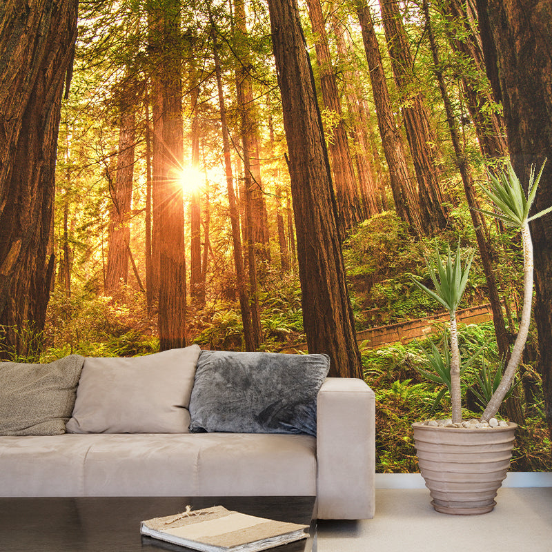Photography Stain Resistant Mural Wallpaper Forest Living Room Wall Mural