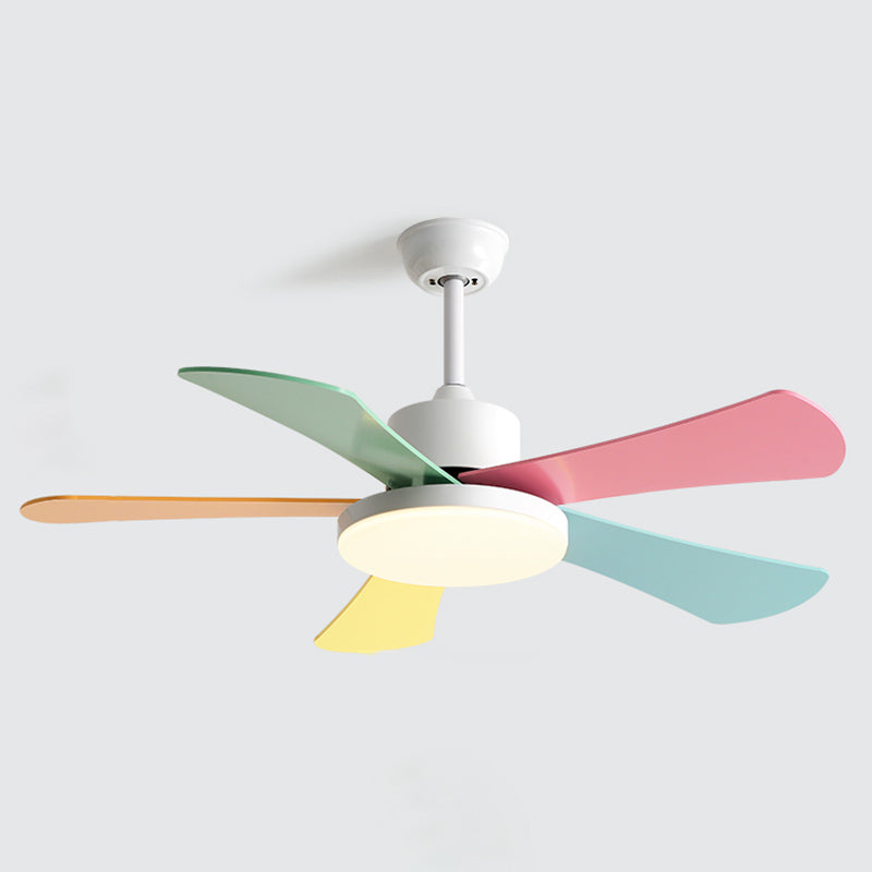 Modern Colorful Ceiling Fan Light Metal 1 Light LED Ceiling Fan for Kid's Room