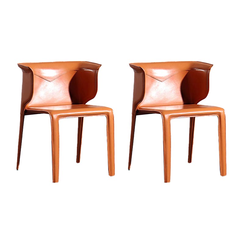 Metal Contemporary Indoor Chair with Leather Legs Matte Finish Side Chair for Dining Room