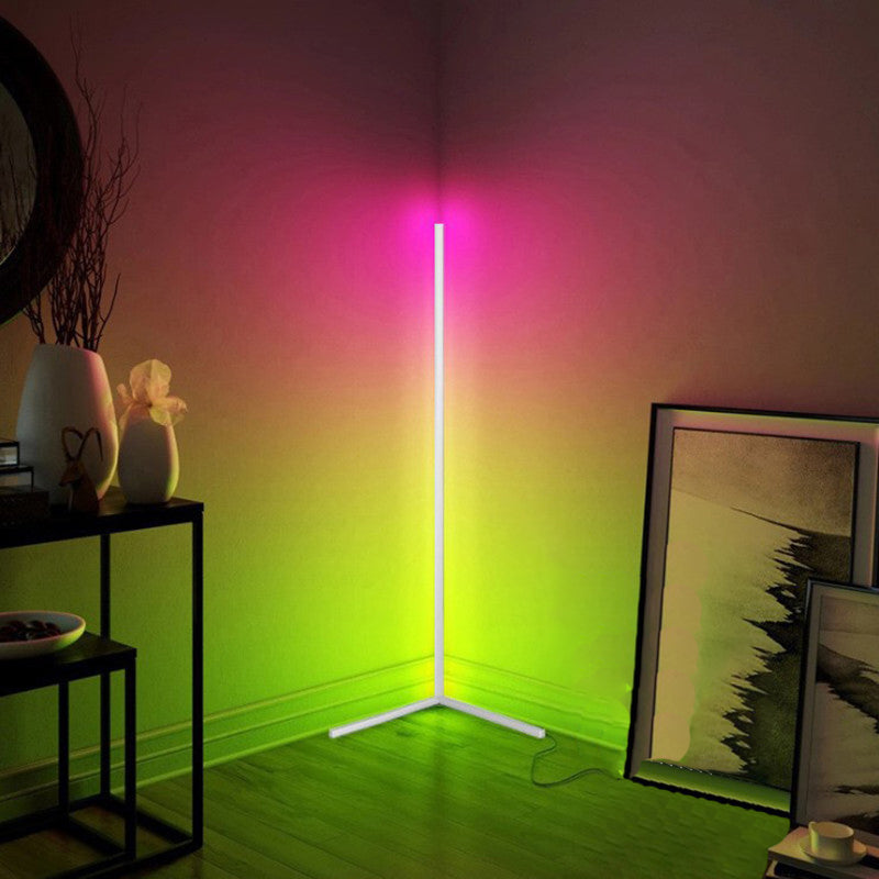 Minimalist Style Metal LED Floor Lamp Modern Geometry Line Floor Light for Living Room