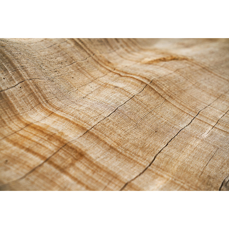 Photography Stain Resistant Mural Wallpaper Wood Grain Sleeping Room Wall Mural