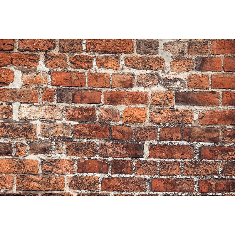 Photography Environment Friendly Mural Wallpaper Brick Wall Living Room Wall Mural