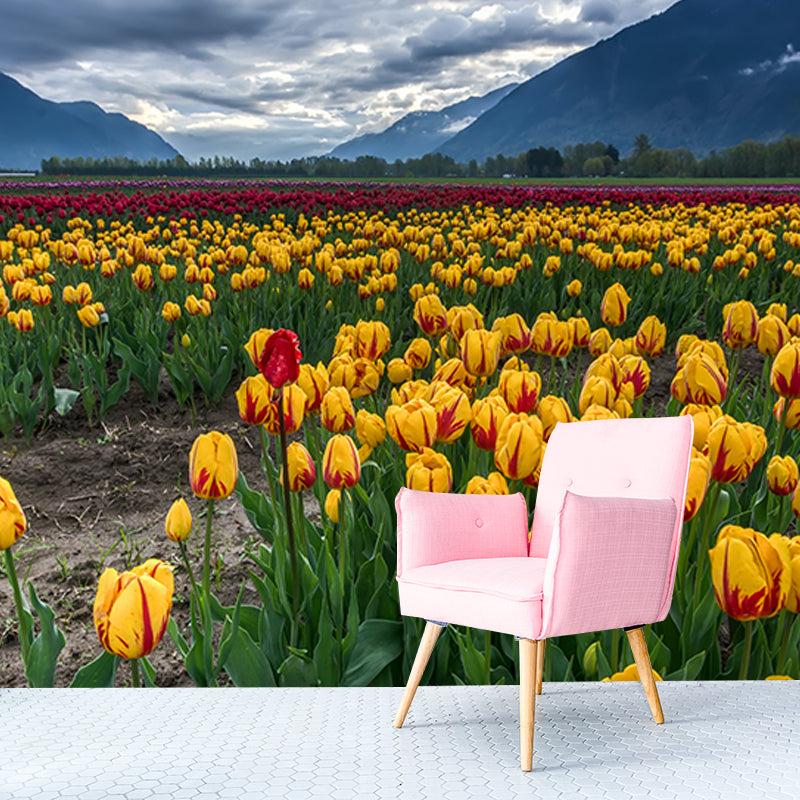 Washable Photography Mural Wallpaper Flower Field Indoor Wall Mural