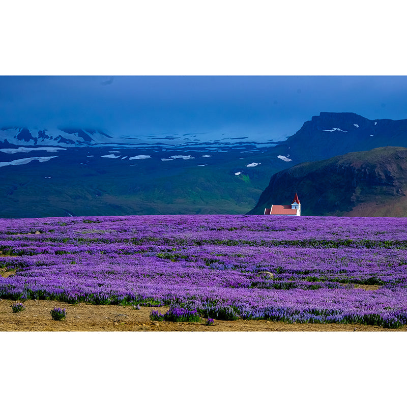 Photography Environment Friendly Mural Wallpaper Flower Field Bedroom Wall Mural