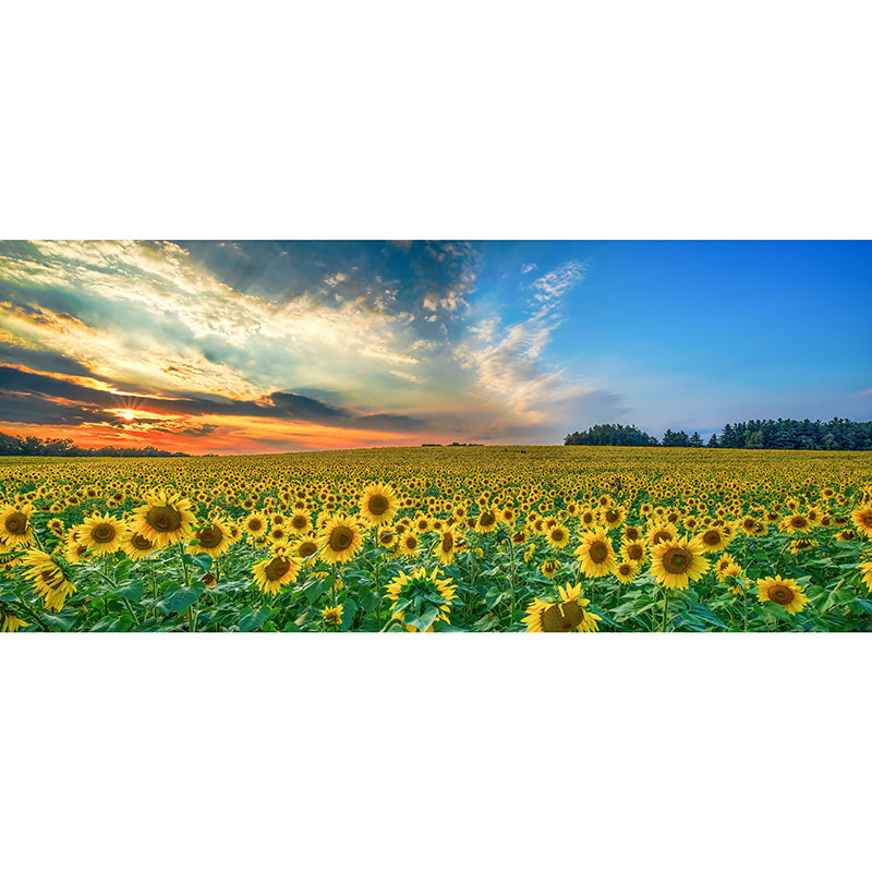 Photography Flower Field Mural Mildew Resistant Wallpaper Sleeping Room Wall Mural