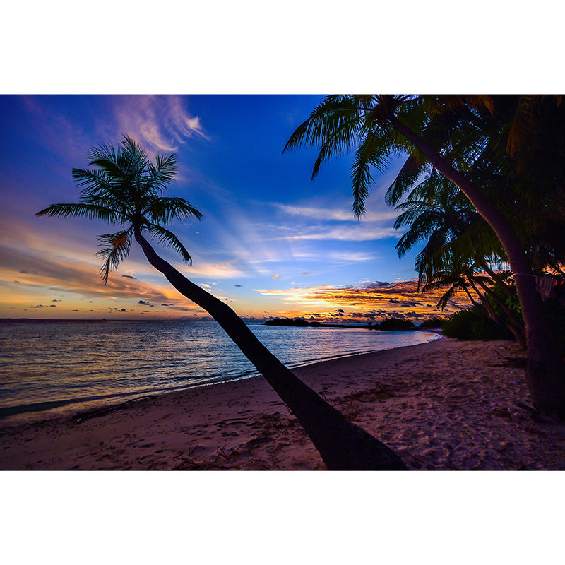 Photography Stain Resistant Mural Wallpaper Beautiful Beach Indoor Wall Mural