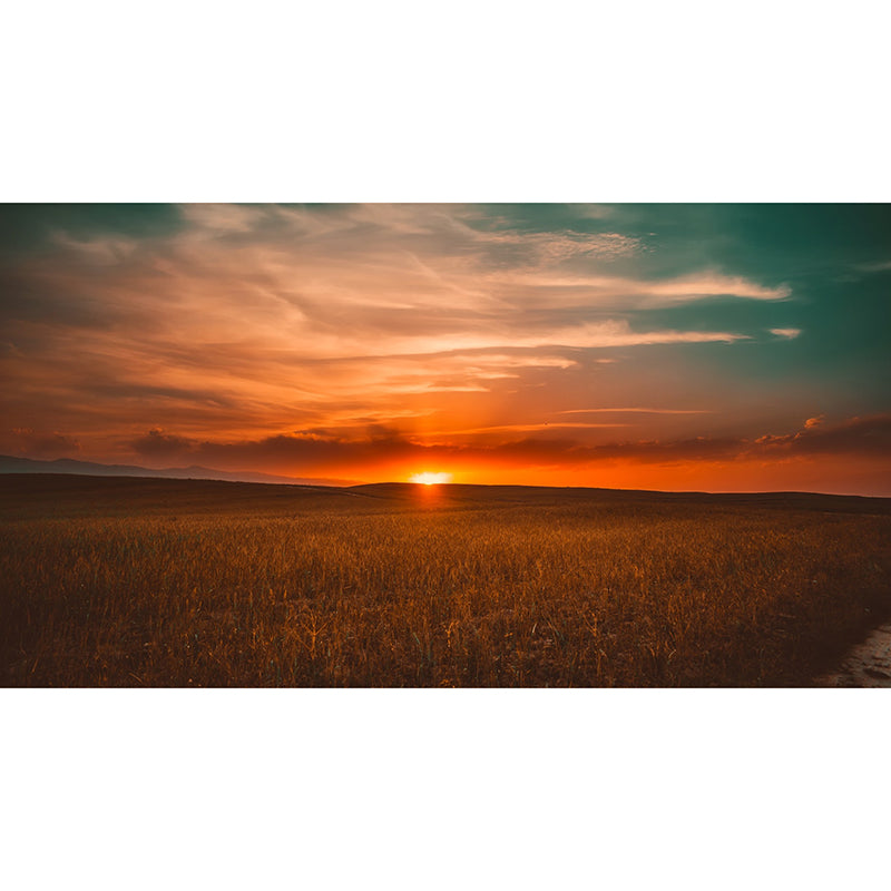 Environmental Wall Mural Wallpaper Setting Sun Living Room Wall Mural