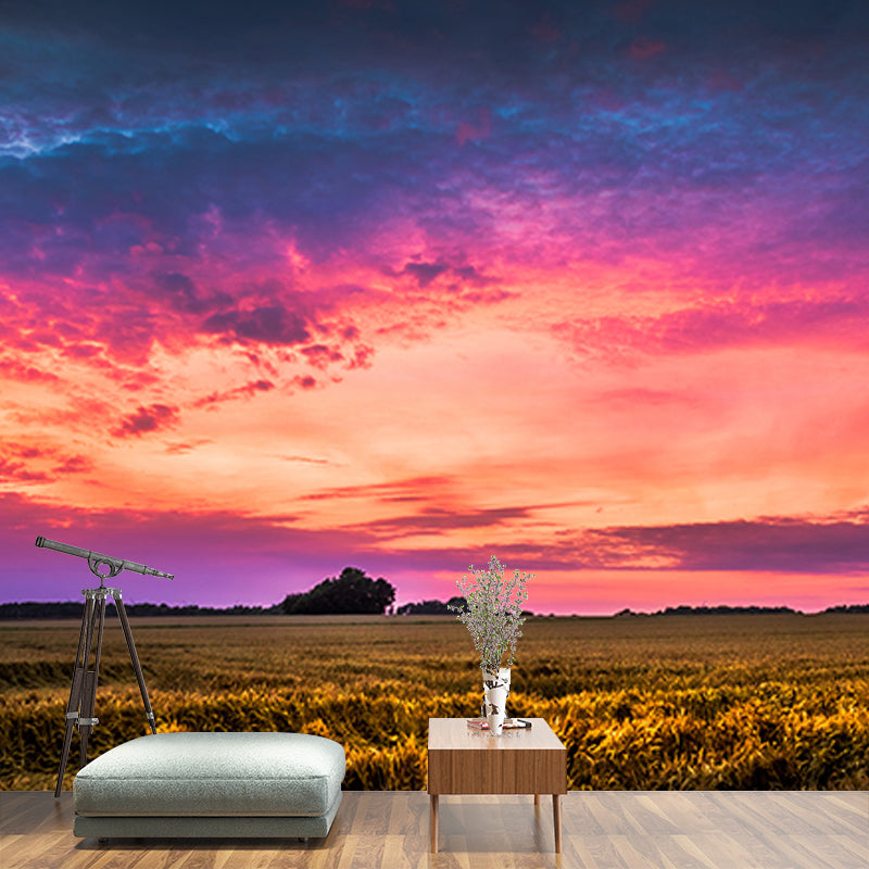 Modern Style Photography Mural Wallpaper Setting Sun Indoor Wall Mural