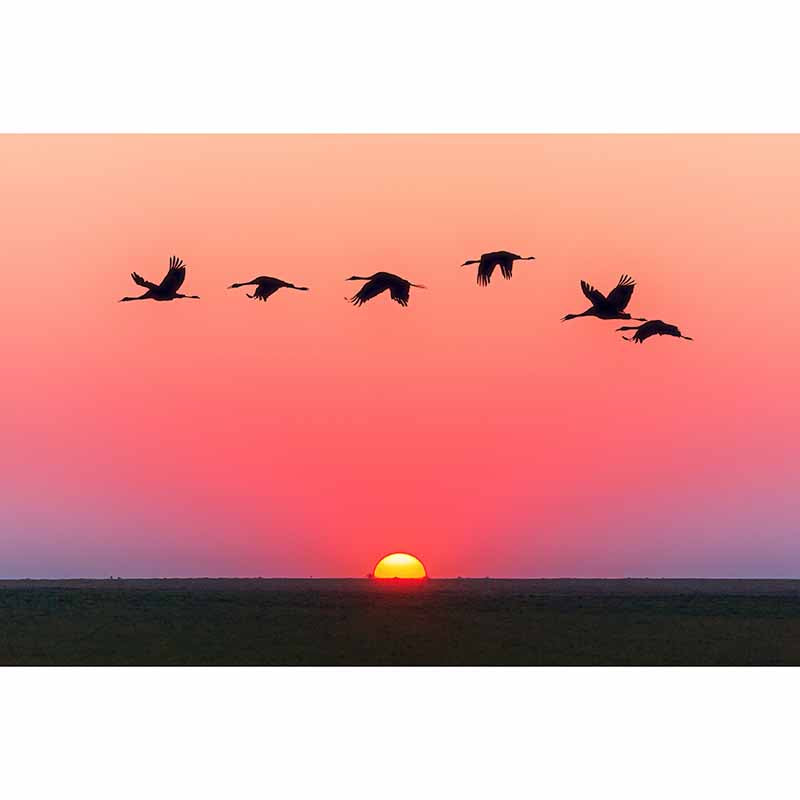 Modern Style Mural Wallpaper Setting Sun Environment Friendly Bedroom Wall Mural