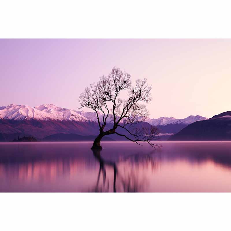 Setting Sun Resistant Mural Wallpaper Environment Friendly Sleeping Room Wall Mural