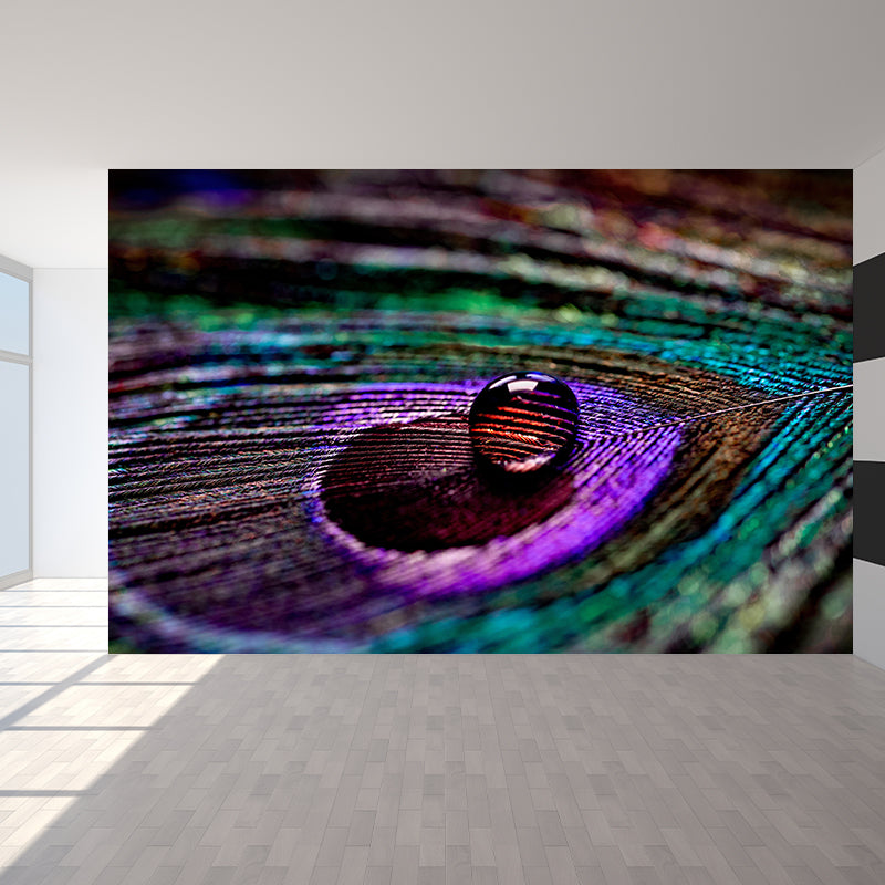 Plumage Modern Photography Stain Resistant Wall Mural Home Decor Wallpaper