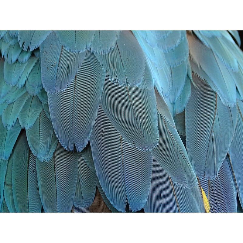 Photography Modern Decorative Wallpaper Drawing Room Wallpaper