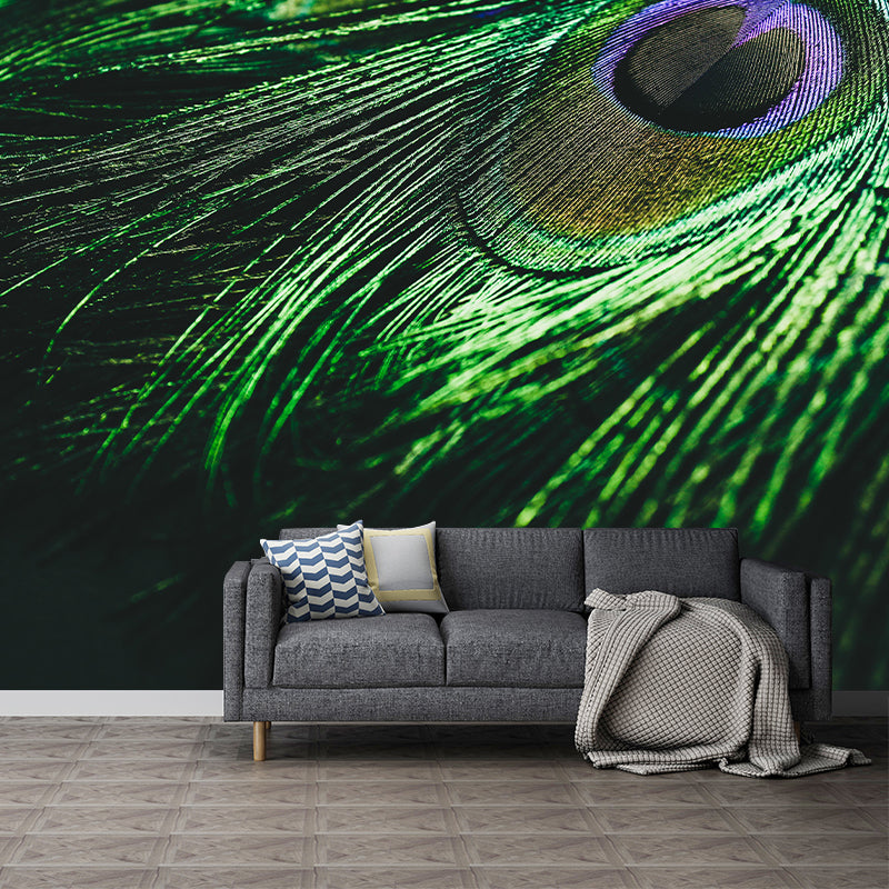 Peacock Feather Modern Wallpaper Decorative Living Room Wallpaper
