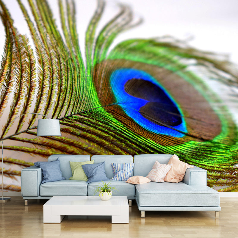 Peacock Feather Modern Wallpaper Decorative Living Room Wallpaper