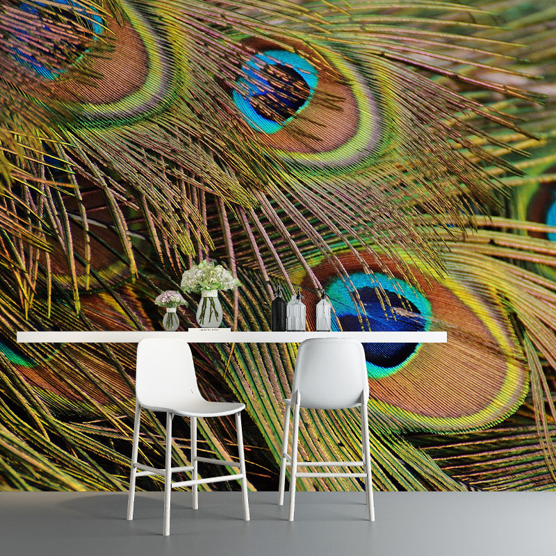 Peacock Feather Modern Wallpaper Decorative Living Room Wallpaper