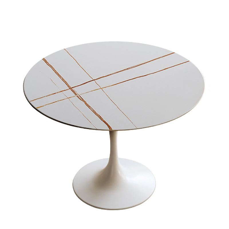 Round Top Dining Table Contemporary Table with Pedestal Base