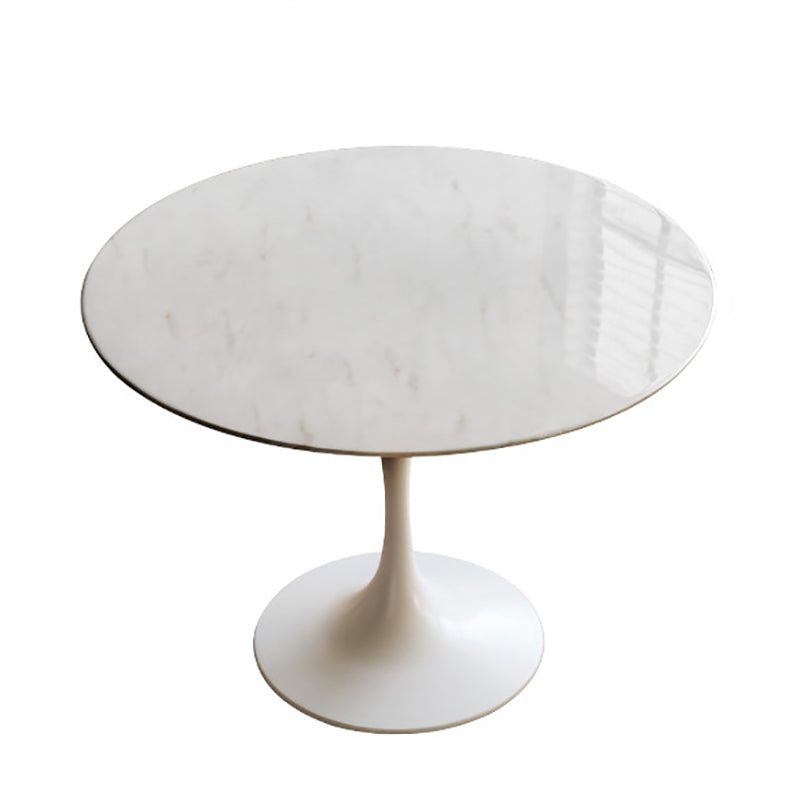 Round Top Dining Table Contemporary Table with Pedestal Base