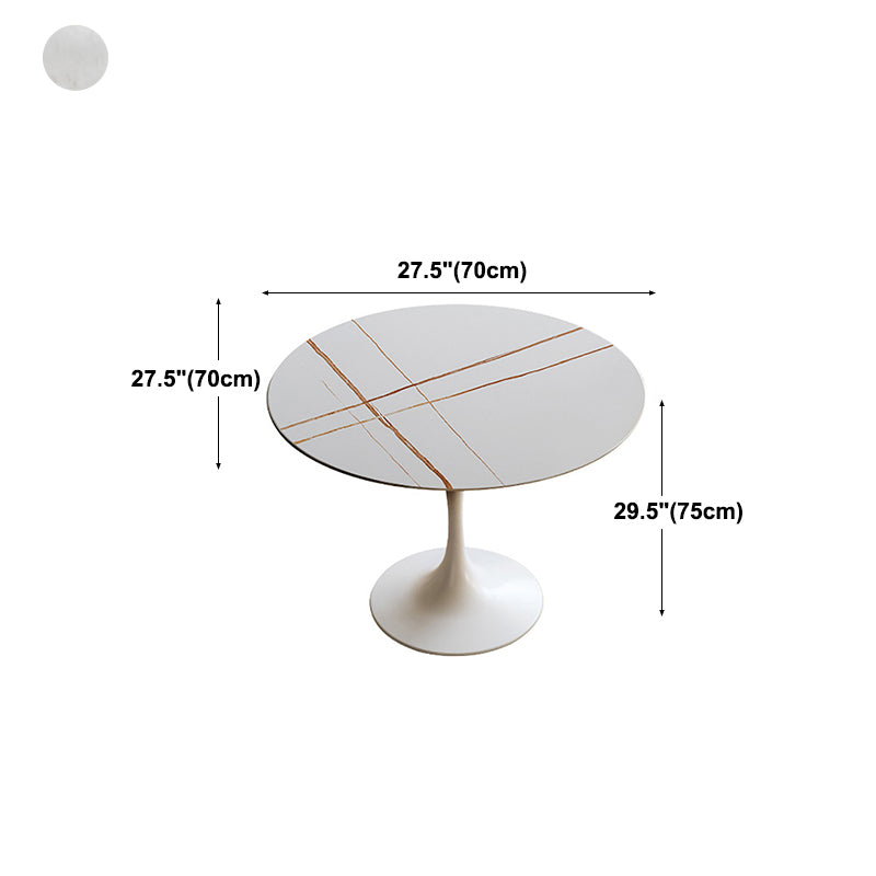 Round Top Dining Table Contemporary Table with Pedestal Base