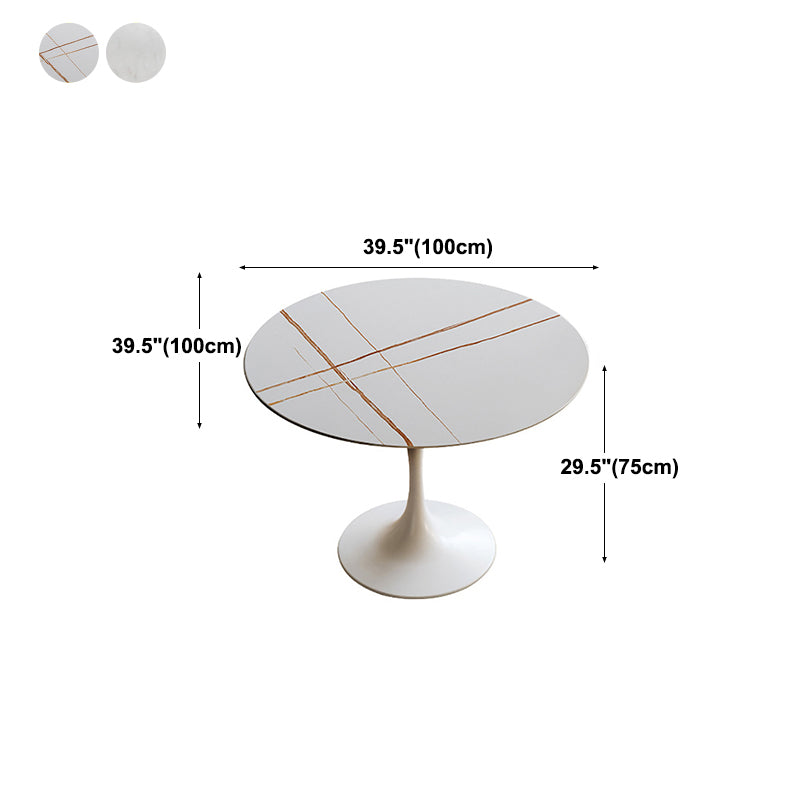 Round Top Dining Table Contemporary Table with Pedestal Base