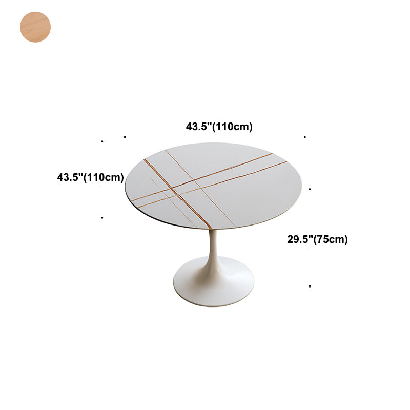 Round Top Dining Table Contemporary Table with Pedestal Base