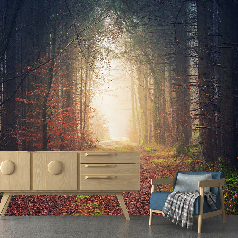 Modern Photography Forest Stain Resistant Wallpaper Living Room Wallpaper