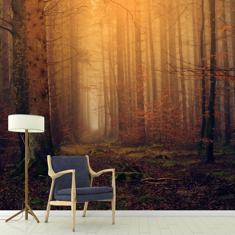 Modern Photography Forest Stain Resistant Wallpaper Living Room Wallpaper