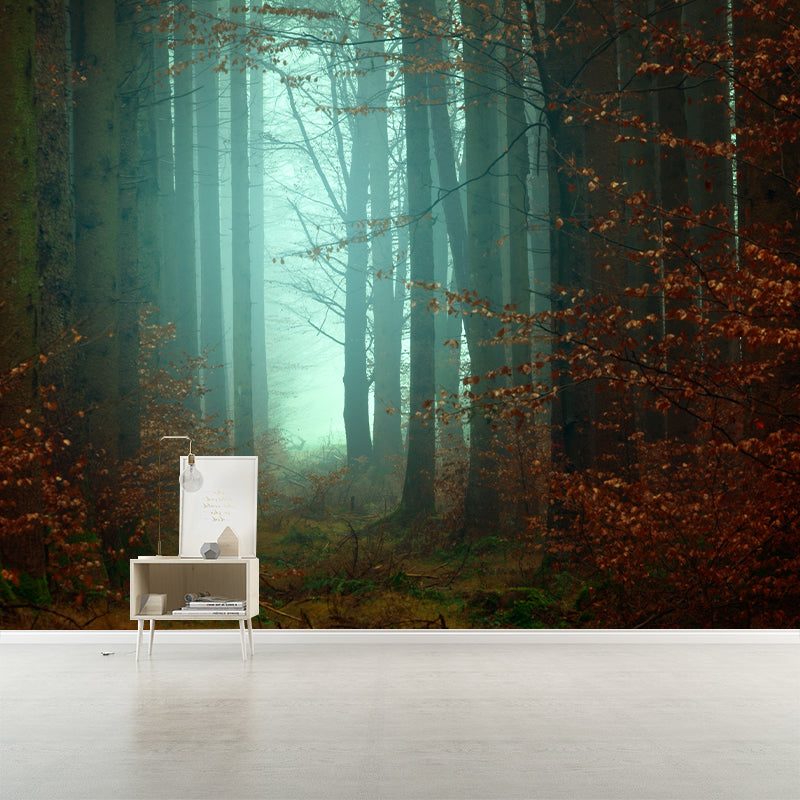 Modern Photography Forest Stain Resistant Wallpaper Living Room Wallpaper