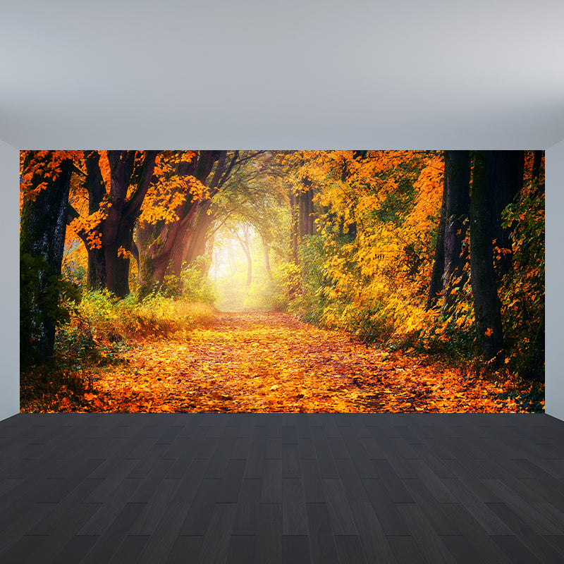 Stain Resistant Photography Forest Pattern Wallpaper Home Decoration Wallpaper