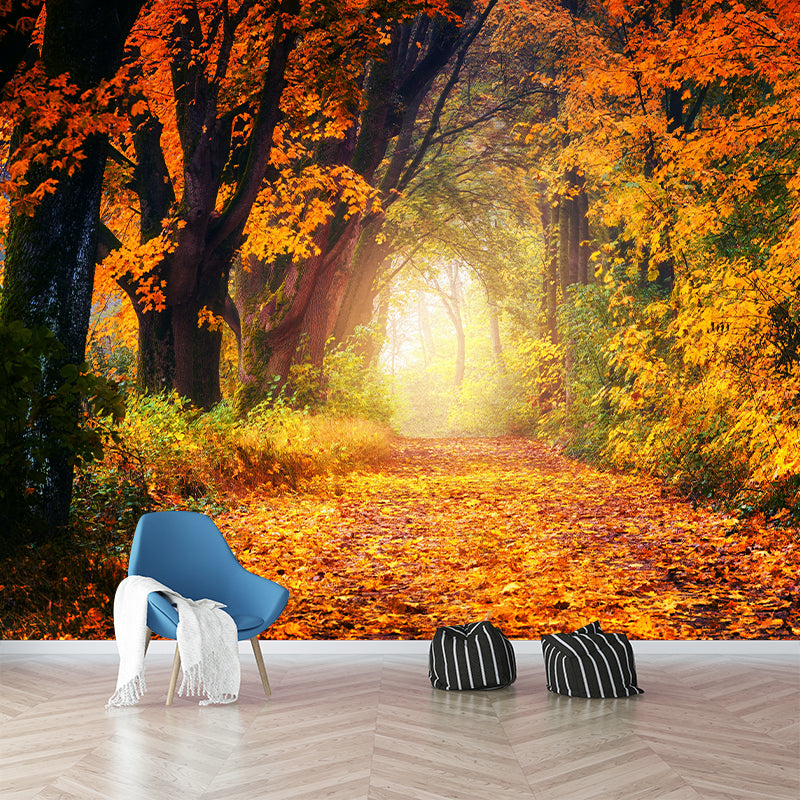 Stain Resistant Photography Forest Pattern Wallpaper Home Decoration Wallpaper