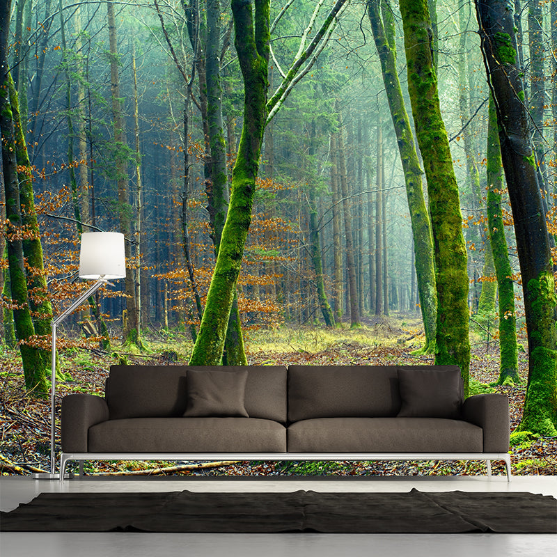 Woods Photography Mildew Resistant Wallpaper Drawing Room Wallpaper