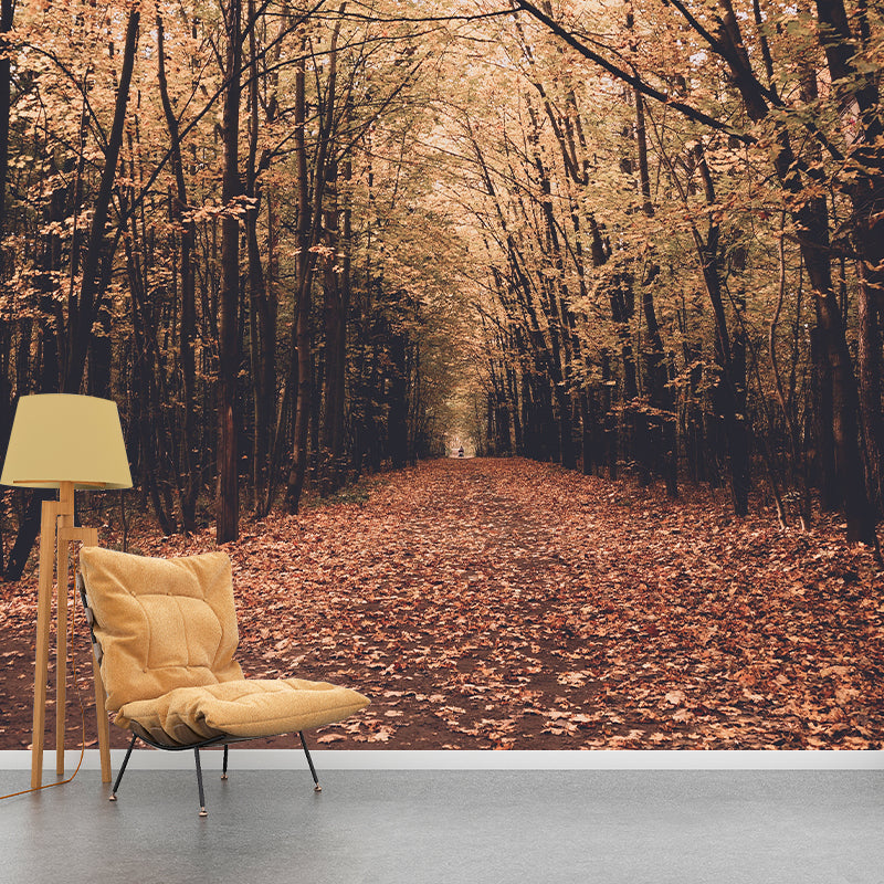 Woods Stain Resistant Photography Wallpaper Drawing Room Wallpaper