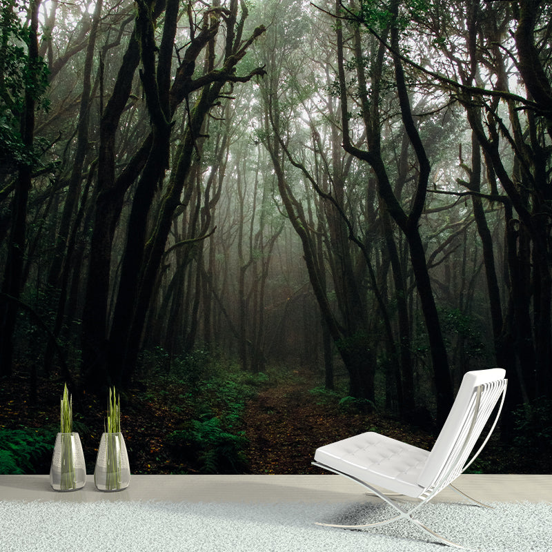 Woods Stain Resistant Photography Wallpaper Drawing Room Wallpaper