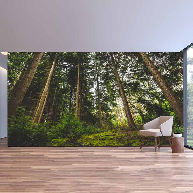 Photography Stain Resistant Forest Wallpaper Living Room Wall Mural