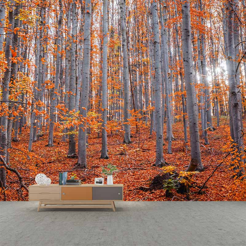 Decorative Woods Photography Wallpaper Drawing Room Wallpaper