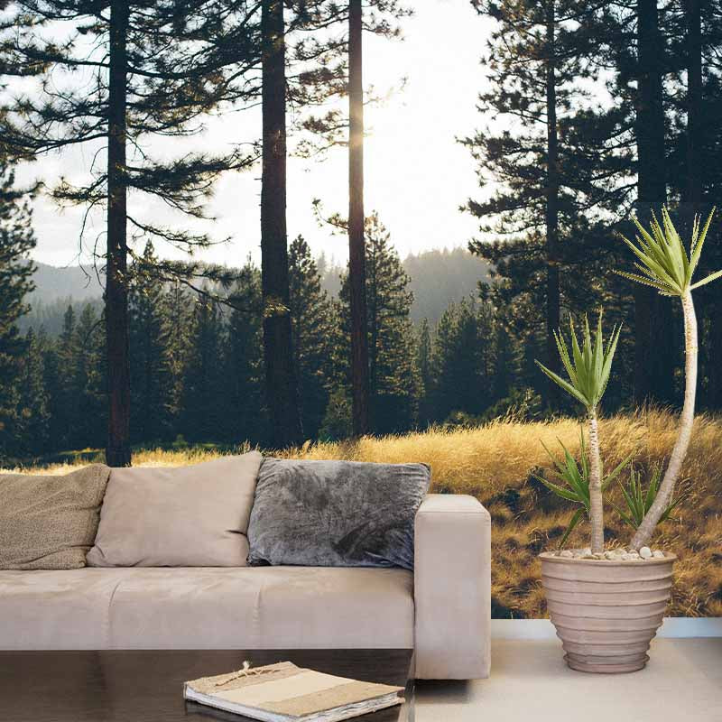 Decorative Woods Photography Wallpaper Drawing Room Wallpaper