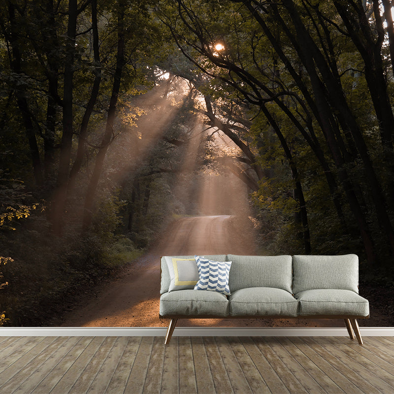 Environmental Forest Photography Wall Mural Living Room Wallpaper