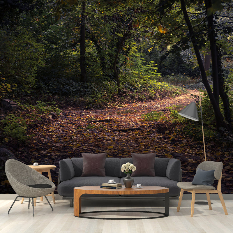 Environmental Forest Photography Wall Mural Living Room Wallpaper