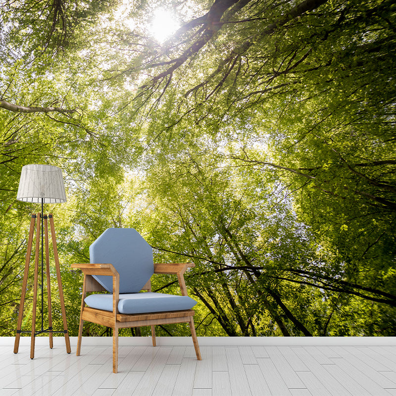 Environmental Forest Photography Wall Mural Living Room Wallpaper