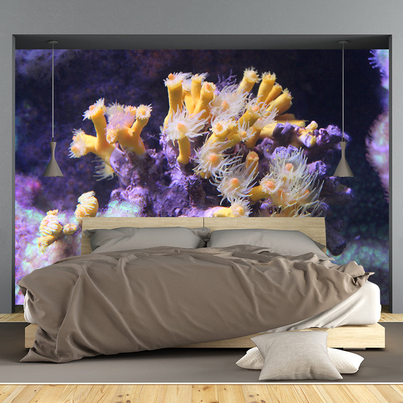 Photography Underwater Modern Decorative Wallpaper Living Room Wall Mural