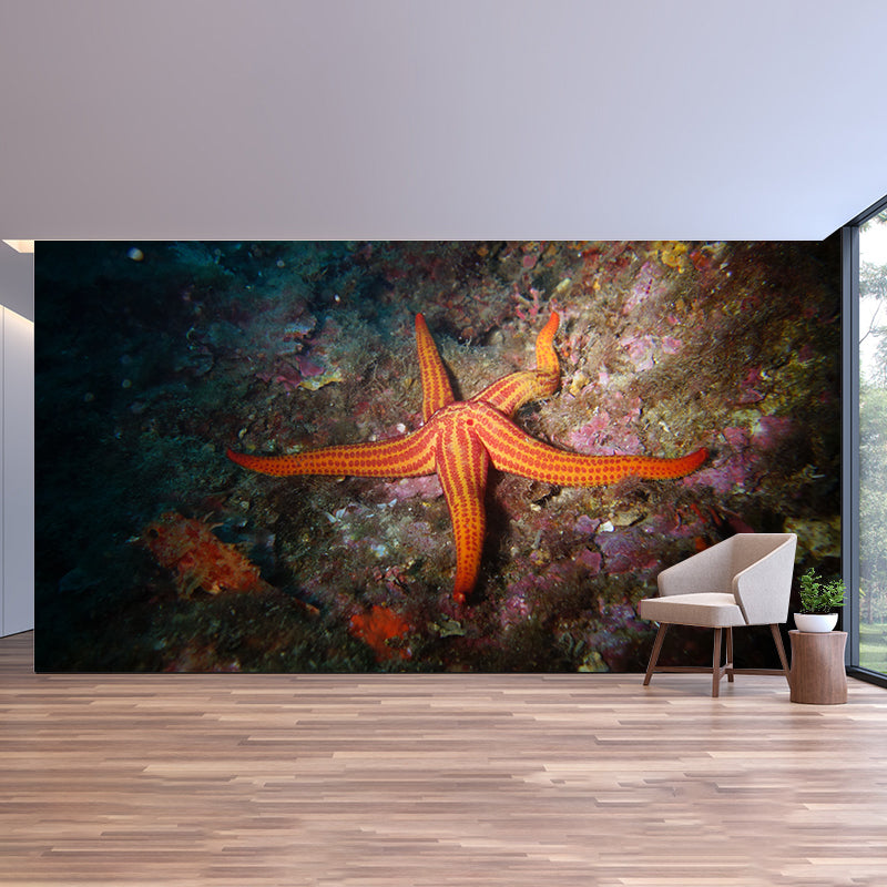 Photography Underwater Modern Decorative Wallpaper Living Room Wall Mural
