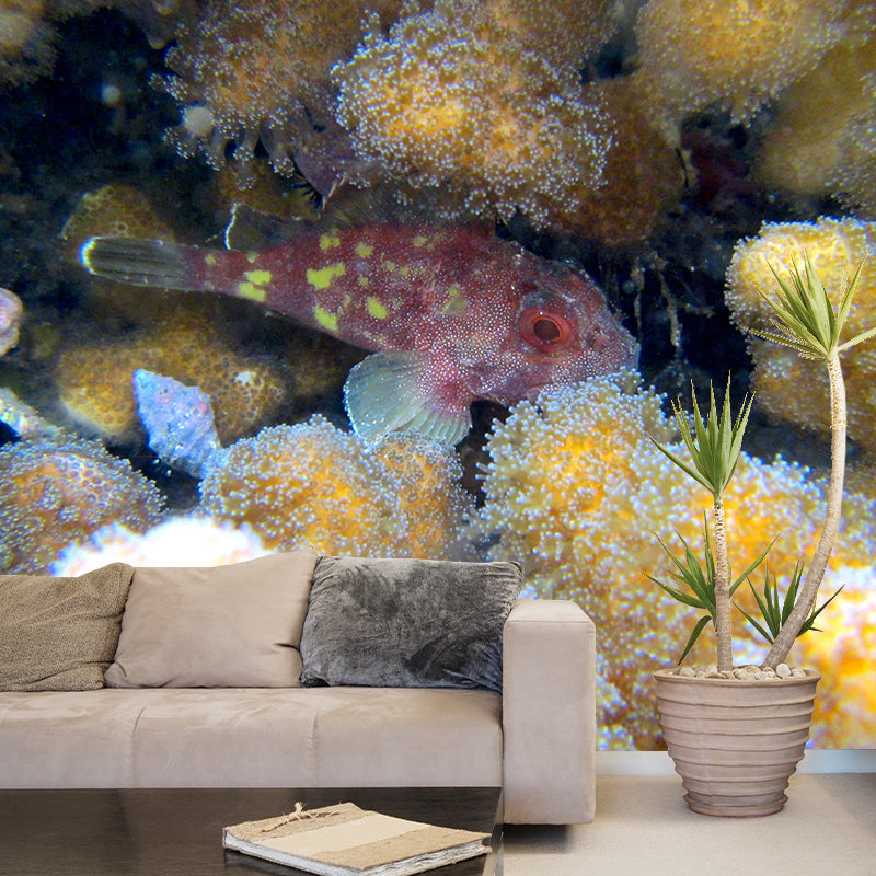 Decorative Underwater Photography Wall Mural Drawing Room Wall Mural