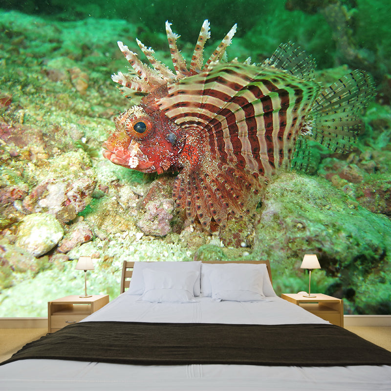 Environmental Photography Undersea Wallpaper Home Decoration Wallpaper