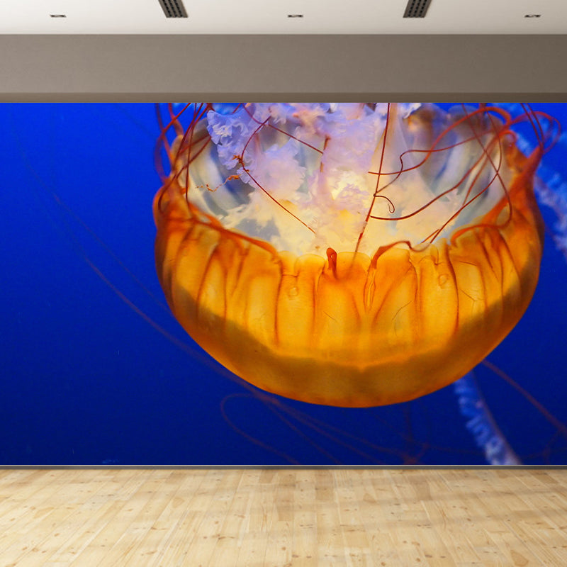 Environment Friendly Underwater Photography Living Room Wall Mural