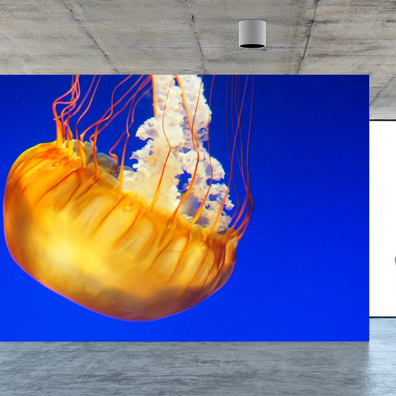 Environment Friendly Underwater Photography Living Room Wall Mural
