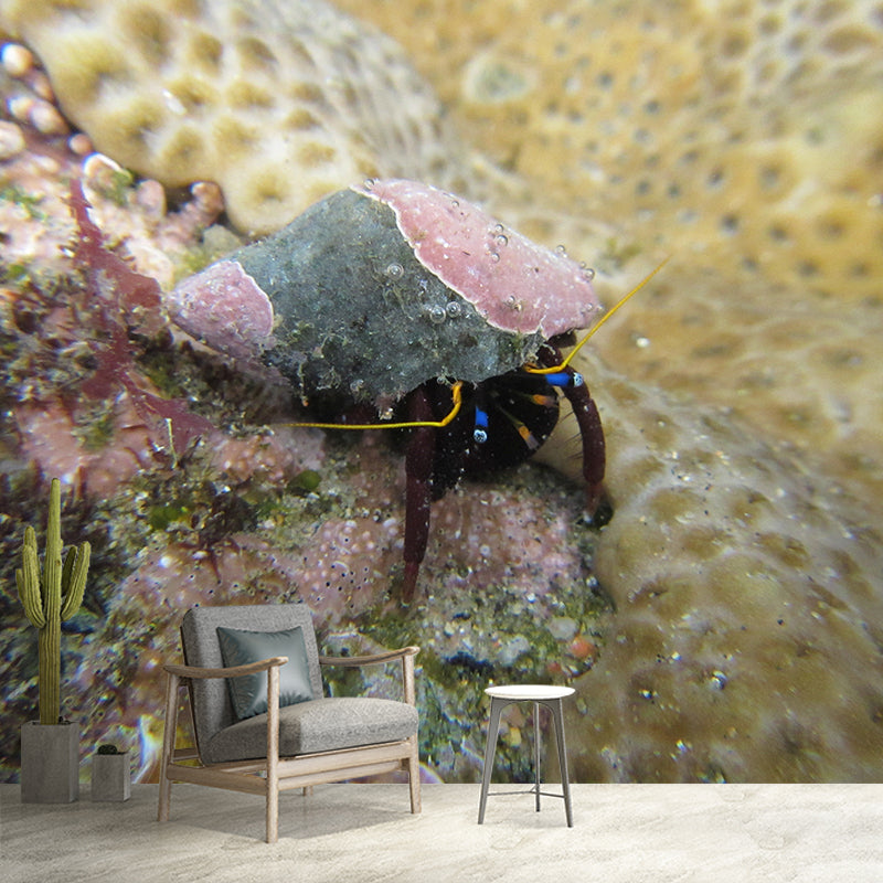 Underwater Photography Decorative Wallpaper Living Room Wallpaper