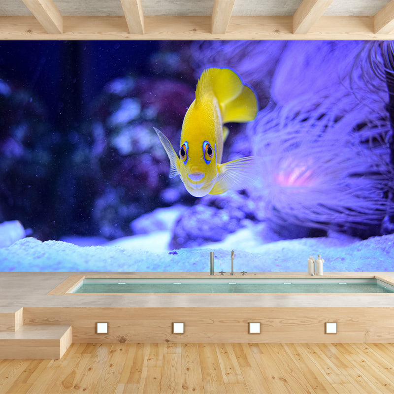 Photography Stain Resistant Underwater Wallpaper Living Room Wallpaper
